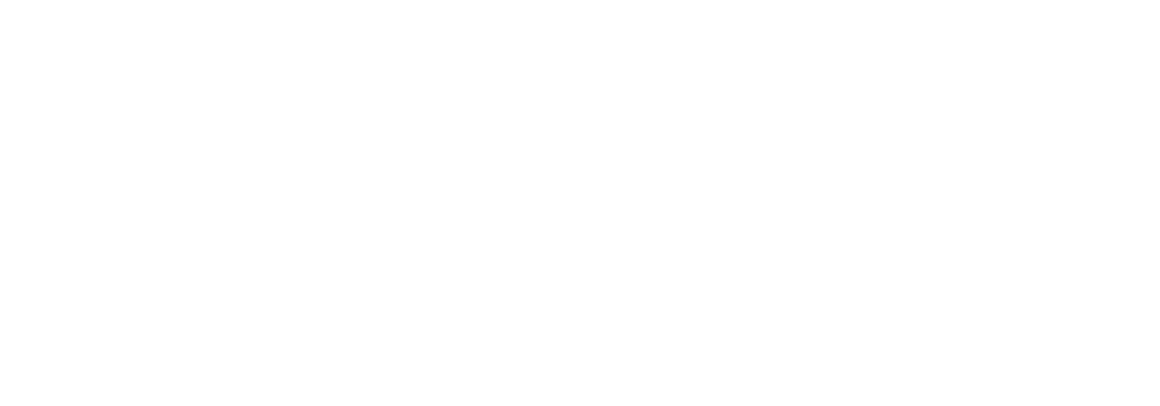 DRACULA DRONES